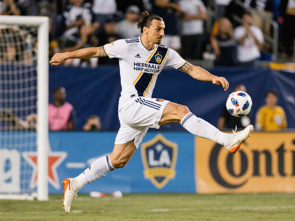 避免因过度 避免因过度