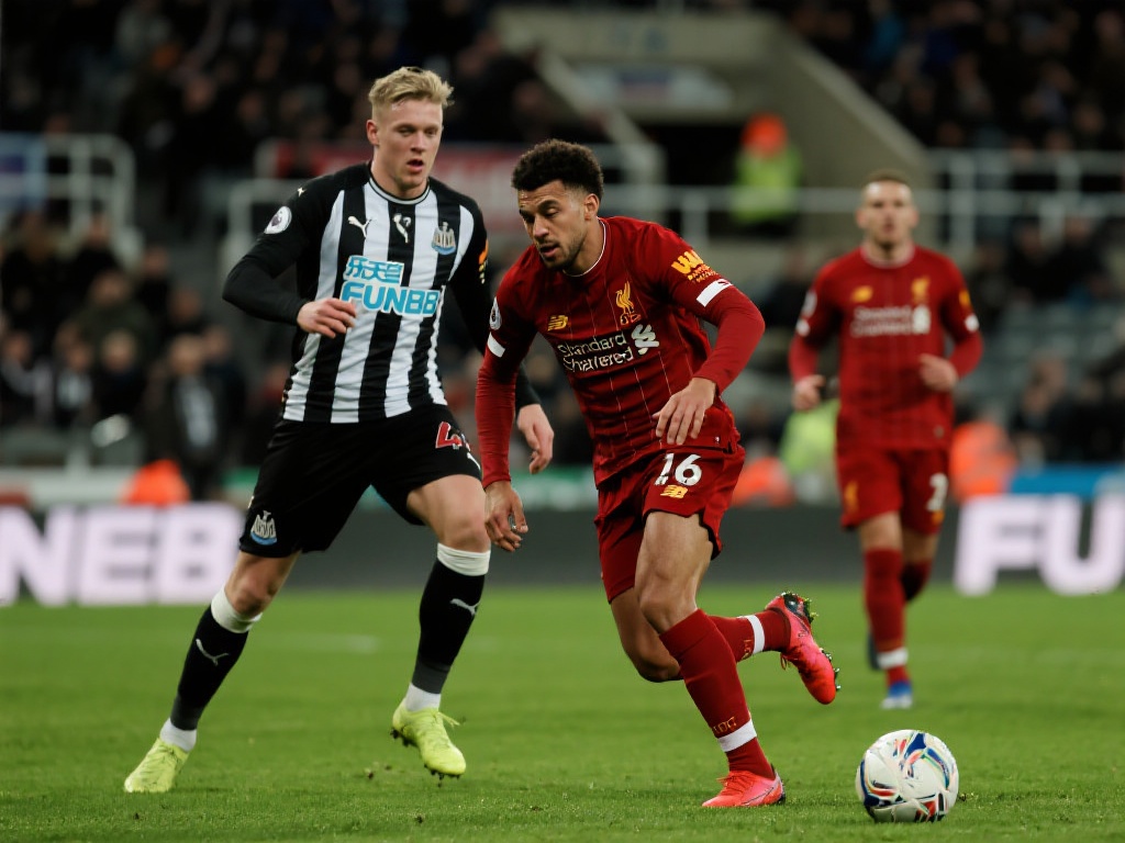 育彩票筹集 育彩票筹集